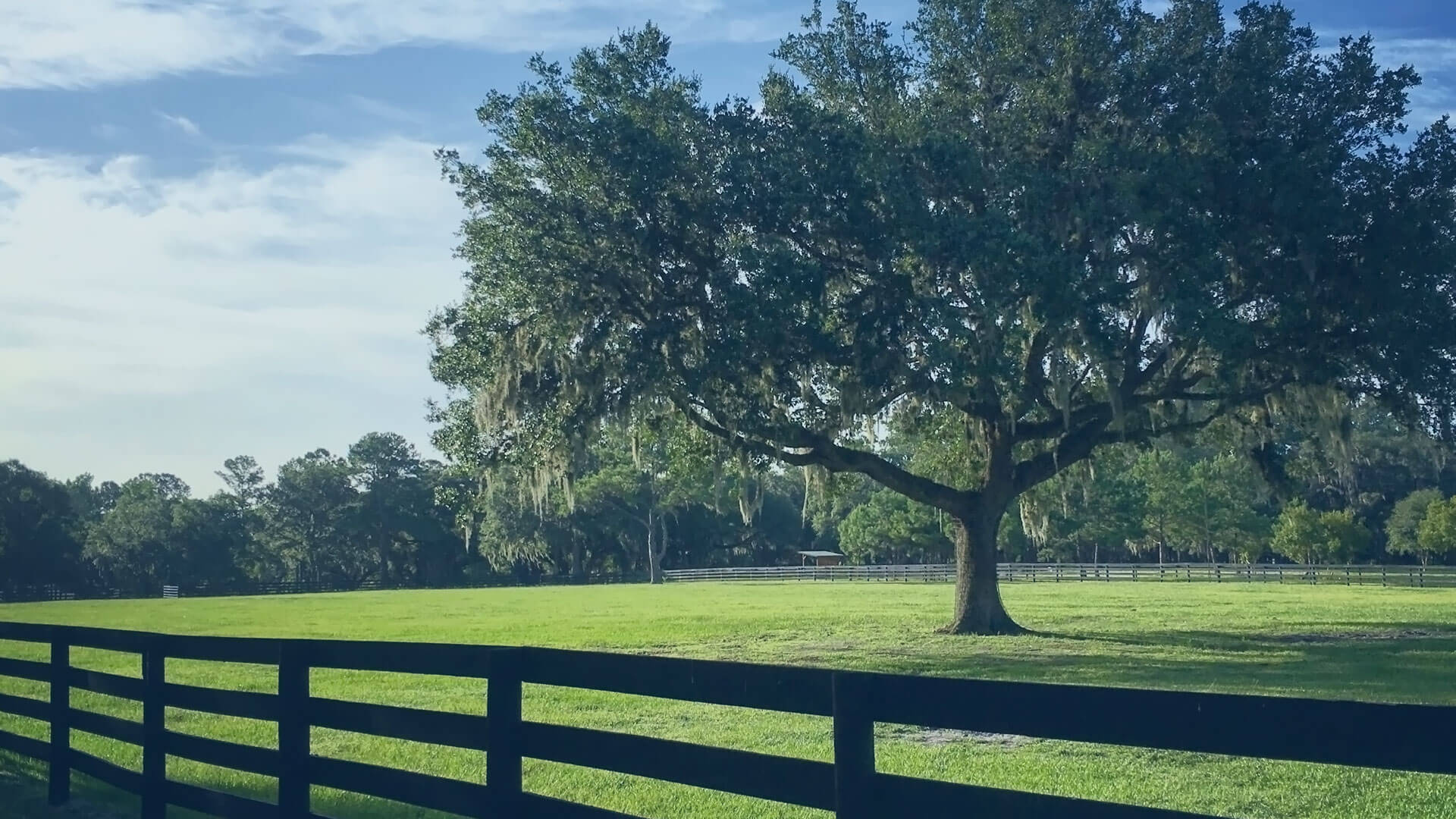 Property with fence and tree